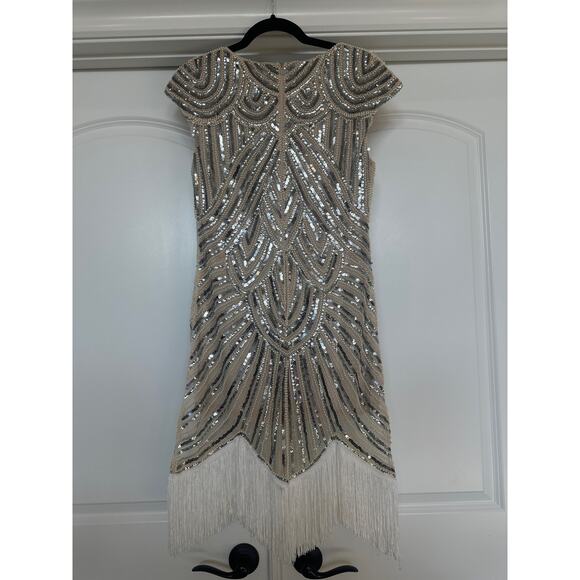 Vintage 20’s Silver and White Beaded and Sequins Flapper dress with Fringe - Picture 7 of 9